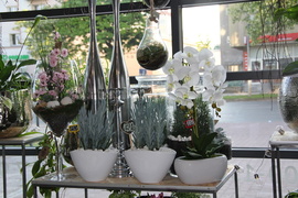 Dzień Matki w Kwiaciarni Romantycznej