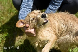 Galeria pod psem i kotem (Odc.3)