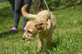 Galeria pod psem i kotem (Odc.3)