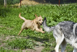 Galeria pod psem i kotem (Odc.3)