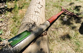 Tu wszystkiego można dotknąć