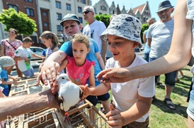 Miasto należy dziś do dzieci