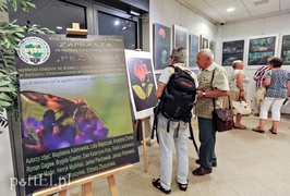 Zdjęcia przyrody na urodziny