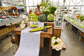 Wybierz naturalne piękno