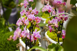 Wybierz naturalne piękno