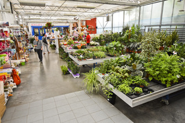 Wybierz naturalne piękno