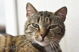 Galeria pod psem i kotem (Odc.6)