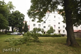 Dzisiaj rządził wiatr