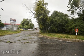 Dzisiaj rządził wiatr