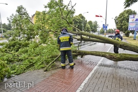 Dzisiaj rządził wiatr