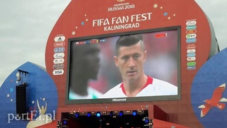 Kaliningrad żyje Mundialem (korespondencja własna)