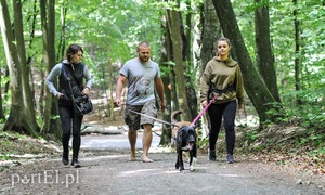 Rekordowy Bieg na Sześć Łap