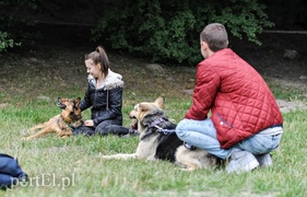 Rekordowy Bieg na Sześć Łap