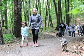 Rekordowy Bieg na Sześć Łap