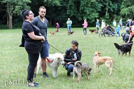 Rekordowy Bieg na Sześć Łap