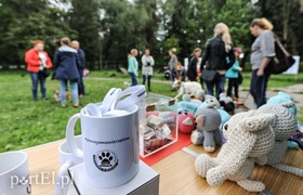 Adopsiaki mają głos