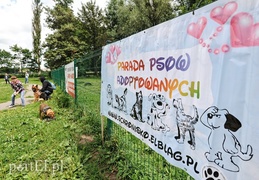 Adopsiaki mają głos
