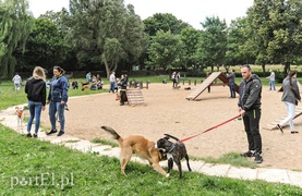 Adopsiaki mają głos