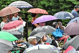 Podróż z Gryfami do lat 60.