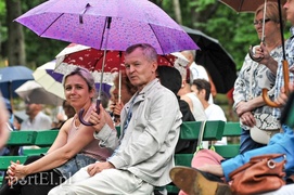 Podróż z Gryfami do lat 60.