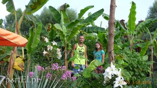 Bananowy jest po prostu żywot mój