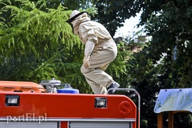 Pszczoły na placu zabaw przedszkola