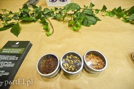 Tajemnice herbacianego krzewu