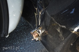 Autobus uderzył w hondę