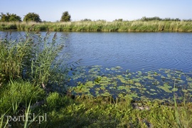 Ciało mężczyzny w rzece Elbląg