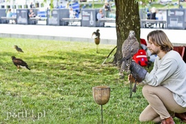 Jak średniowieczni zdobywcy