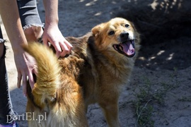 Galeria pod psem i kotem (Odc.18)