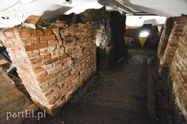 Z pokoju zagadek wprost na Żuławy