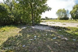 Wśród tych śmieci chodzą dzieci!