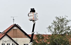 Krótka przygoda Olimpii w pucharze