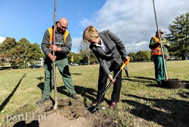 20 wiśni na dwudziestolecie PWSZ