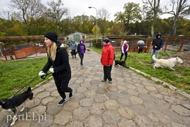 Biegiem na spacer!