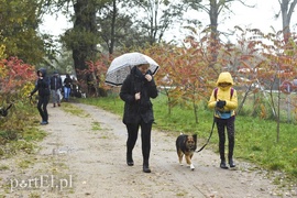 Biegiem na spacer!