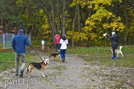 Biegiem na spacer!