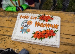 Straszne zawody z cyklu Pony Cup za nami