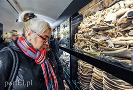 O, tak to można patrzeć w przeszłość!