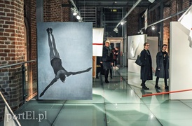 Galeria EL prezentuje: Frombork i Omdlenie