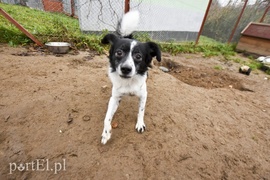 Galeria pod psem i kotem (Odc.28)