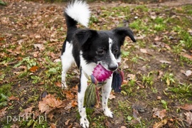 Galeria pod psem i kotem (Odc.28)