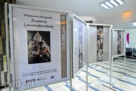 Tutaj sztuka jest wspólnym mianownikiem