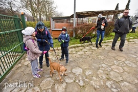 Pobiegli ponownie na sześć łap