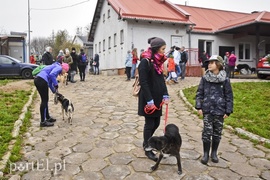 Pobiegli ponownie na sześć łap