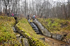 Pobiegli ponownie na sześć łap