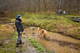 Pobiegli ponownie na sześć łap