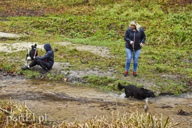 Pobiegli ponownie na sześć łap