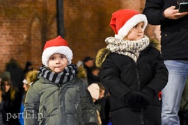 Choinka już zdobi Stare Miasto